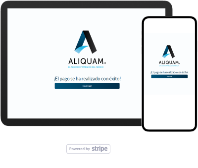 Seguimiento de Pagos